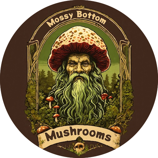 MBM Logo